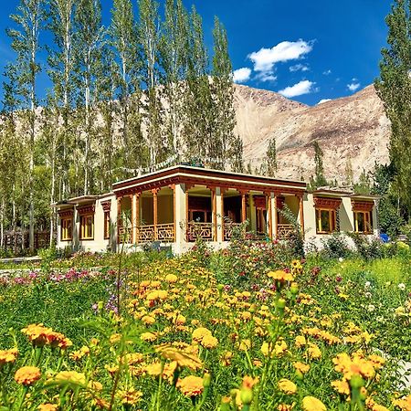 Hotel De Khama Nubra Zewnętrze zdjęcie
