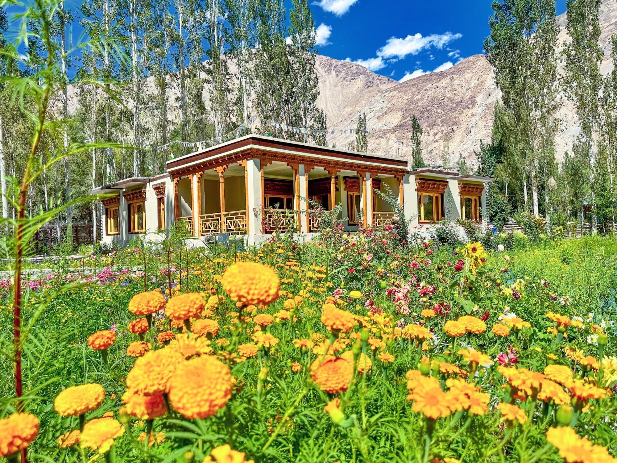 Hotel De Khama Nubra Zewnętrze zdjęcie