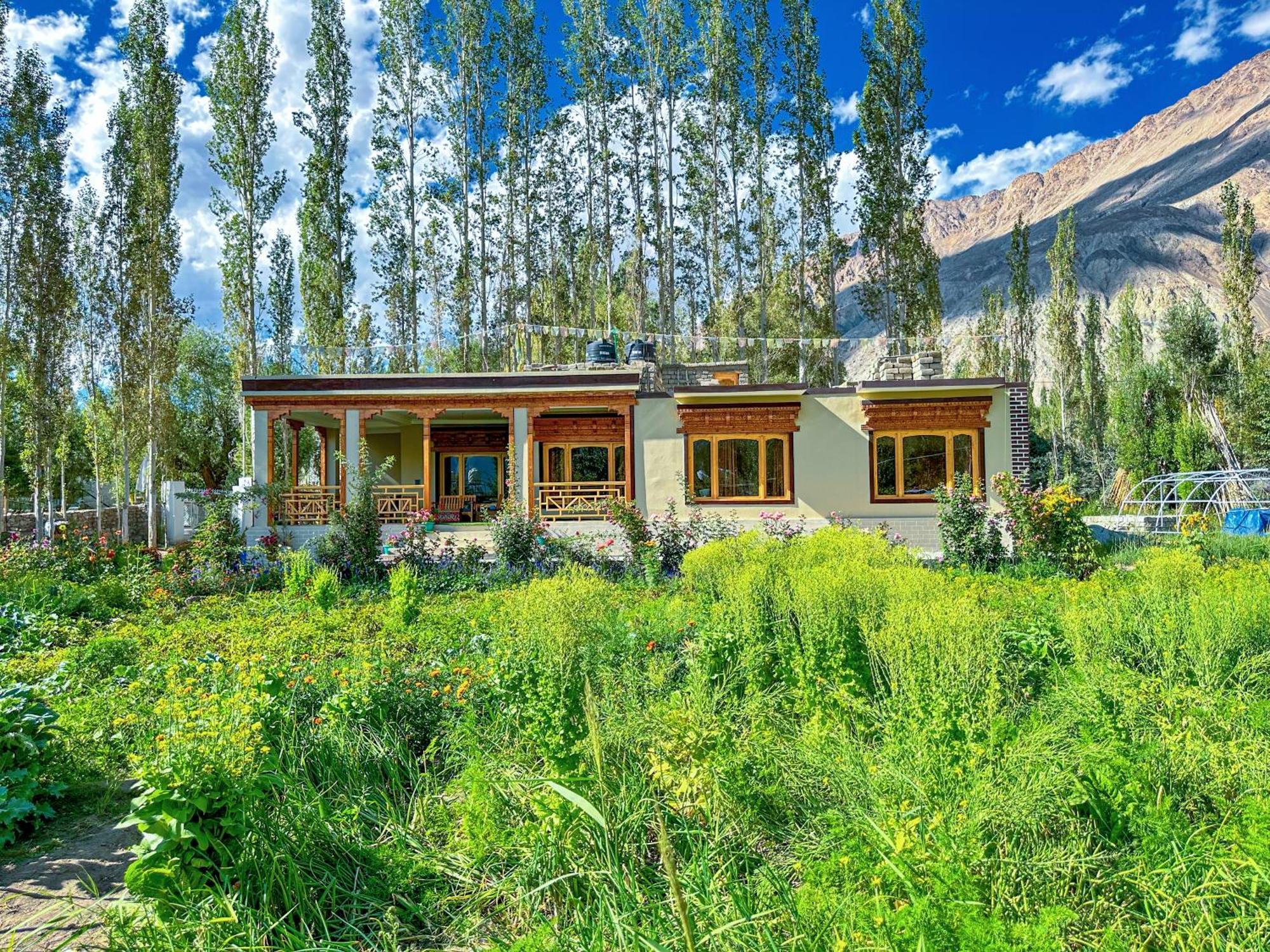 Hotel De Khama Nubra Zewnętrze zdjęcie