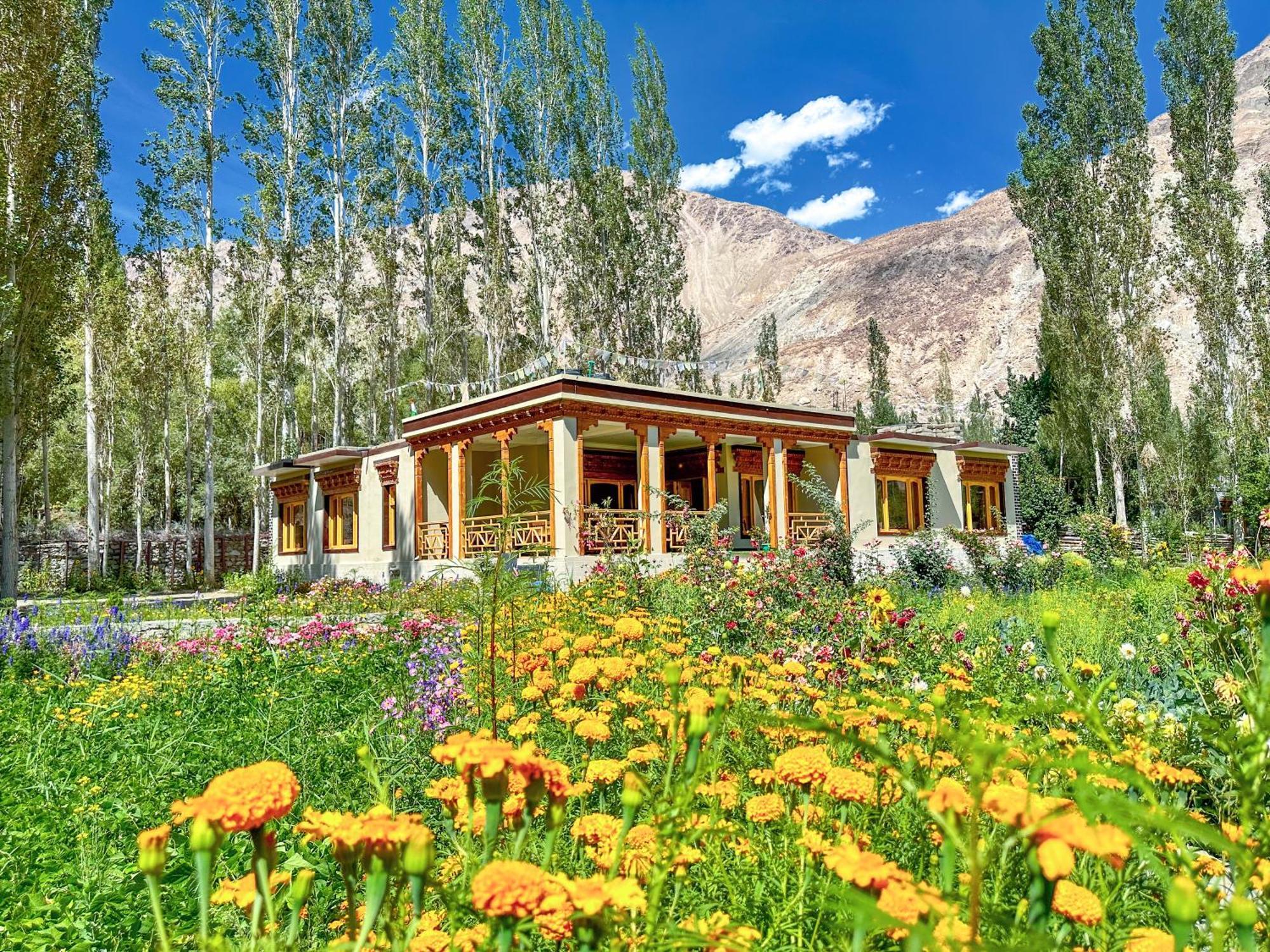 Hotel De Khama Nubra Zewnętrze zdjęcie